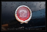 Cadillac logo